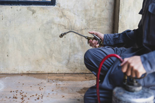 Best Pest Prevention Services  in Cleary, MS